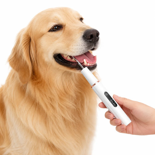 Ultralyds tandrenser til hunde og katte
