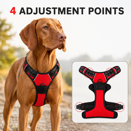 Ergonomisk hundesele – justerbar, holdbar og komfortabel til alle hunde