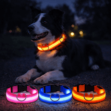 LED hundehalsbånd
