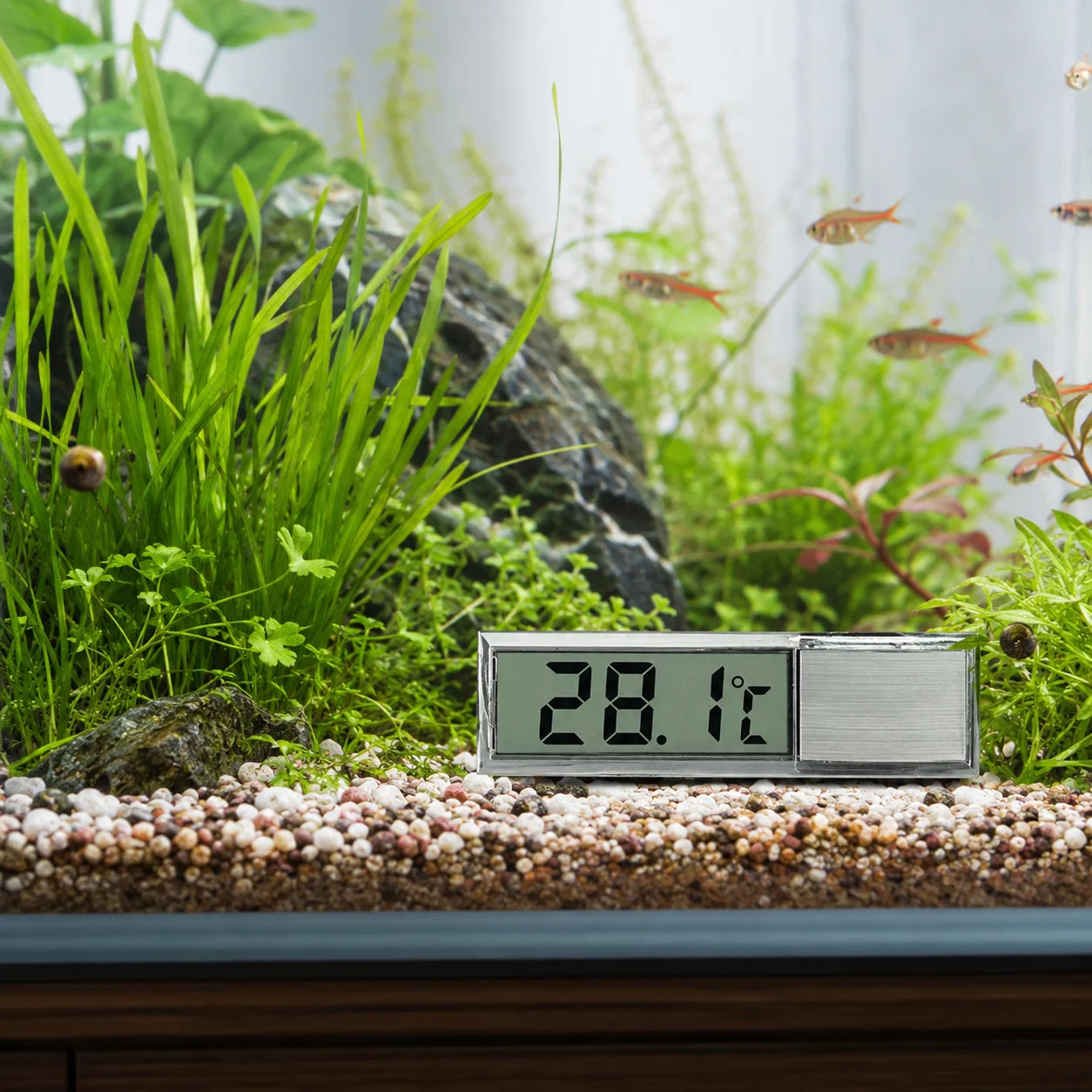 Digital Akvarietermometer – LCD-termometer för Akvarieglas