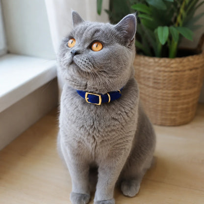 Kattehalsbånd med klokke