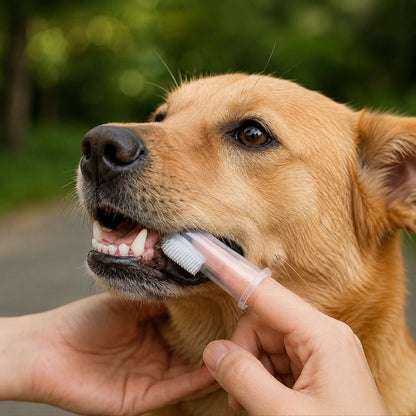 Bløde silikone fingertandbørster til hunde og katte - 6 stk.