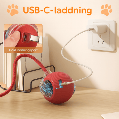 Interaktiv bold til katte