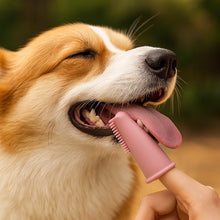 Blød silikonefinger - tandbørste til hunde og katte