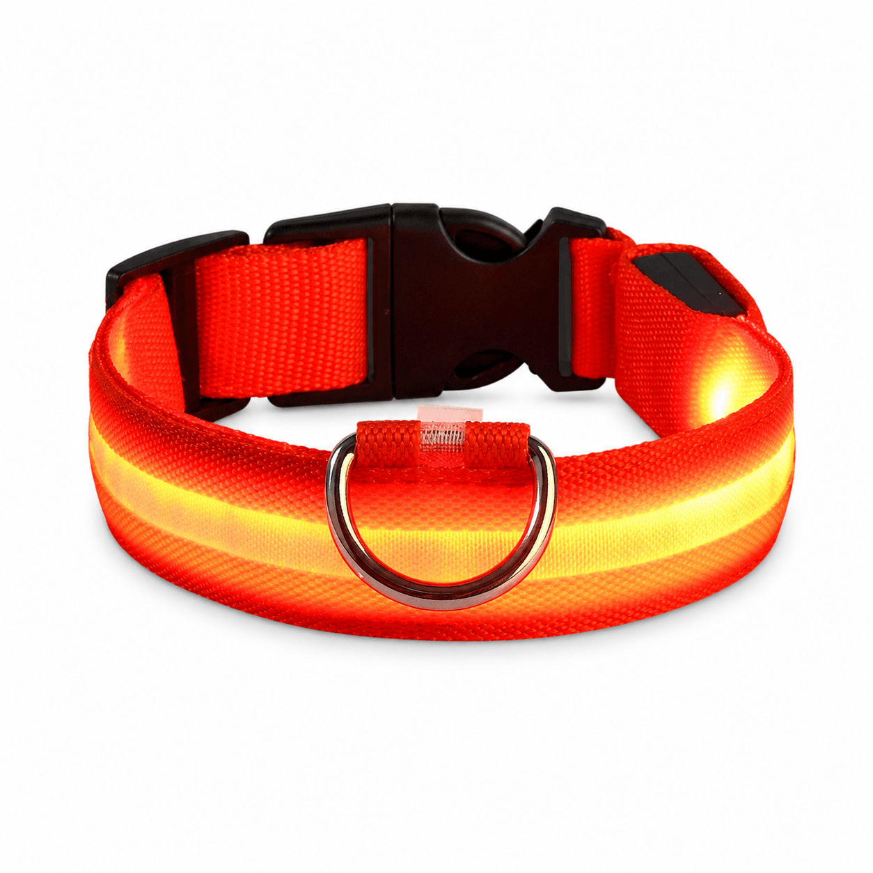 LED hundehalsbånd