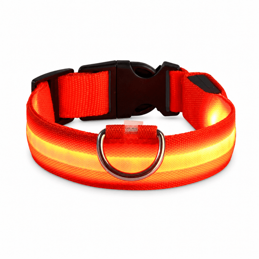 LED hundehalsbånd