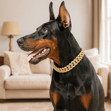 Luksuriøs hundekæde i guld