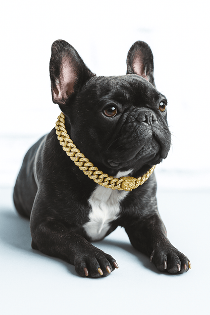 Luksuriøs hundekæde i guld