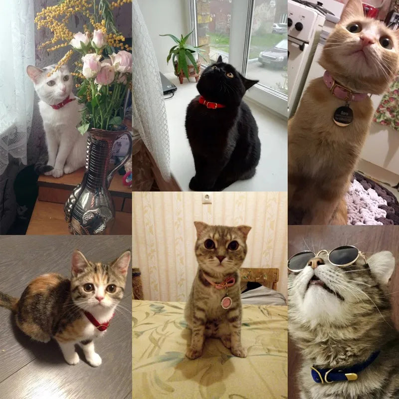 Kattehalsbånd med klokke