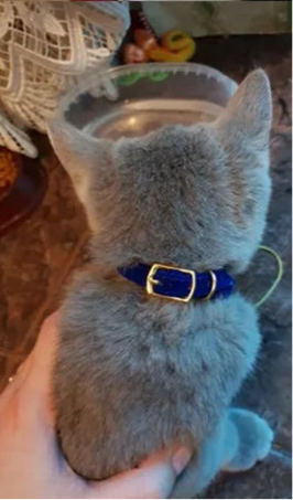 Kattehalsbånd med klokke