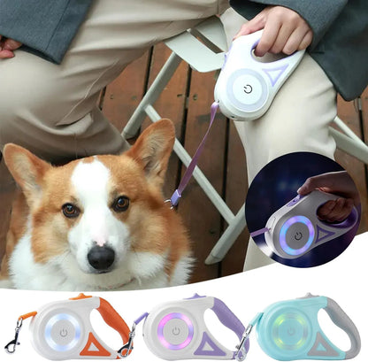 Automatisk LED-hundesnor med lommelygte 5 m