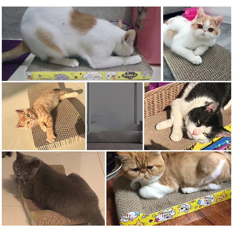 Kradsebræt til katte i bueform