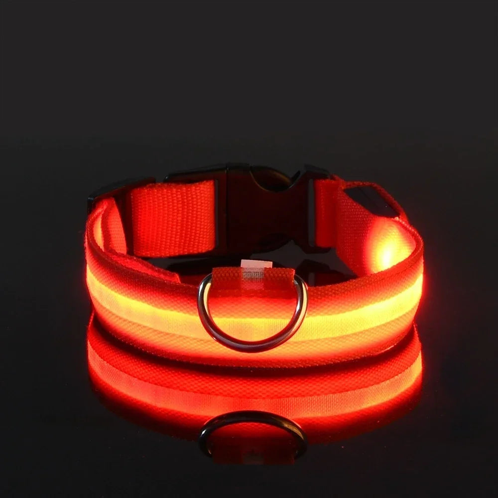 LED hundehalsbånd