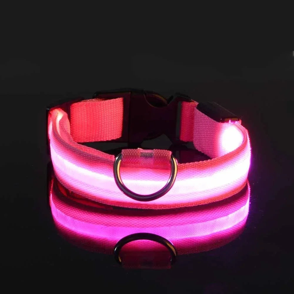 LED hundehalsbånd