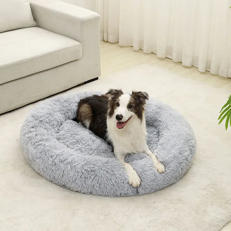 Luksuriøs rund hundeseng i lang, plysset plys