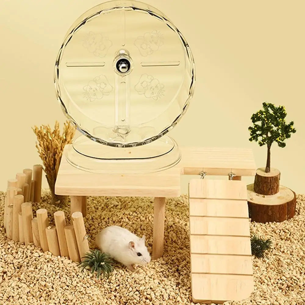 Stille hamsterhjul i gennemsigtigt design