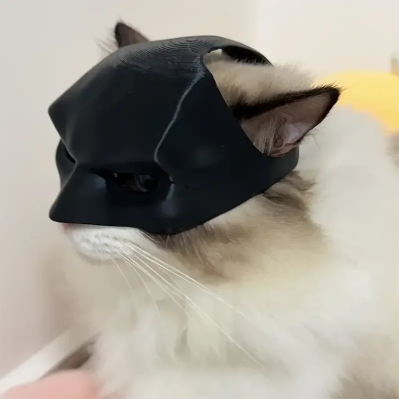 BatCat-maske