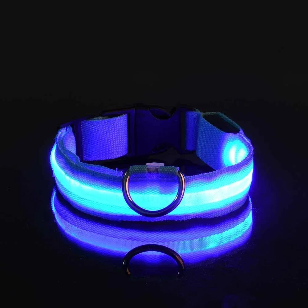 LED hundehalsbånd