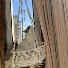 Hængende bomuldsgynge til katte