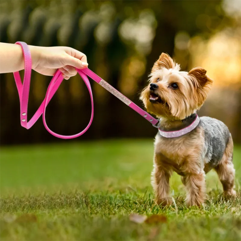 Glitrende hundehalsbånd med krystaller