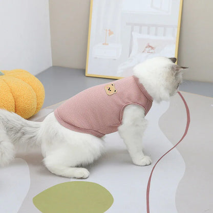 Bjørnetrøje til kat og lille hund