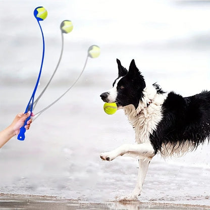Boldkaster til hund