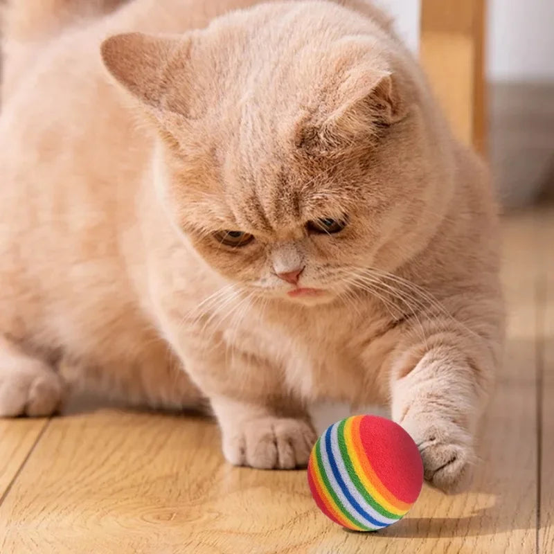 Farverige regnbuebolde til kat og hund