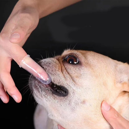 Bløde silikone fingertandbørster til hunde og katte - 6 stk.