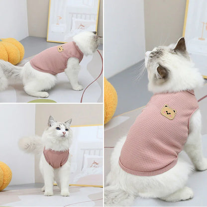 Bjørnetrøje til kat og lille hund