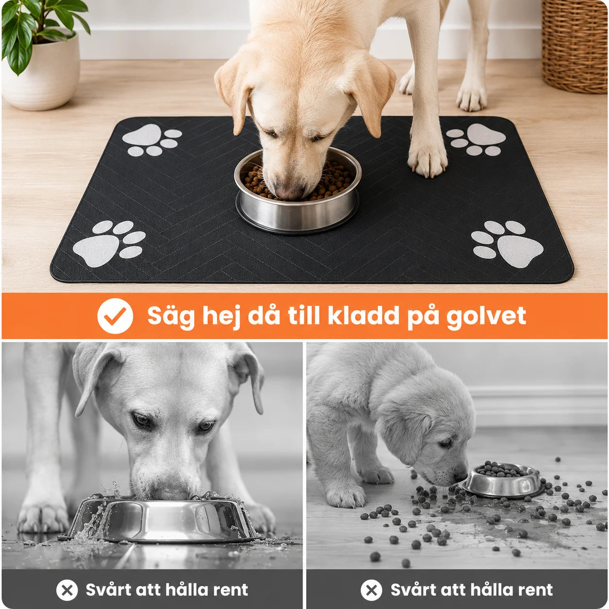 Absorberende måtter til katte og hunde