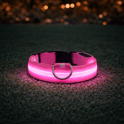LED hundehalsbånd