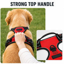 Ergonomisk hundesele – justerbar, holdbar og komfortabel til alle hunde